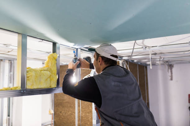 Best Insulation Replacement Services  in Silverthorne, CO