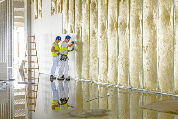 Best Attic Insulation Installation  in Silverthorne, CO